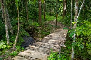 BIB: 
                            <button type="button" onclick="openModal(21893049)" class="btn btn-primary btn-sm float-right btn-popup" data-toggle="modal" data-target=".modal-high-quality">
                        <i class="fas fa-shopping-cart"></i> Add to Cart
                    </button>
                                            <button type="button" onclick="isThisMe(21893049, true)" class="btn btn-success btn-sm float-right btn-popup btn-isme hidden" data-toggle="tooltip" data-placement="bottom" title="นี่คือรูปของคุณใช่ไหม คลิกที่นี่เพื่อเอาเข้าอัลบั้ม">
                        <i class="fas fa-plus"></i> Add to album
                    </button>
                    <button type="button" onclick="isThisMe(21893049, false)" class="btn btn-warning btn-sm float-right btn-popup btn-isnotme hidden">
                        <i class="fas fa-ban"></i> Remove from album
                    </button>